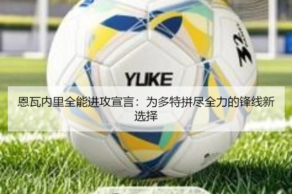 恩瓦内里全能进攻宣言：为多特拼尽全力的锋线新选择